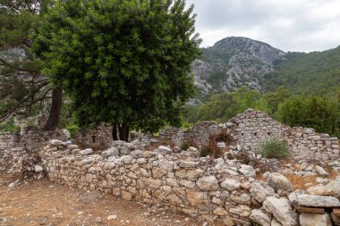 Türkiye 'nin Antalya ilinin Cirali köyündeki antik Olimpos kentinin kalıntıları