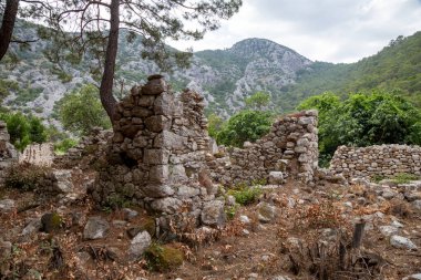 Türkiye 'nin Antalya ilinin Cirali köyündeki antik Olimpos kentinin kalıntıları