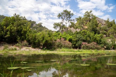 Türkiye 'nin Antalya ilinin Cirali köyündeki antik Olimpos kentinin kalıntıları