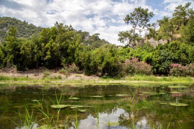 Türkiye 'nin Antalya ilinin Cirali köyündeki antik Olimpos kentinin kalıntıları