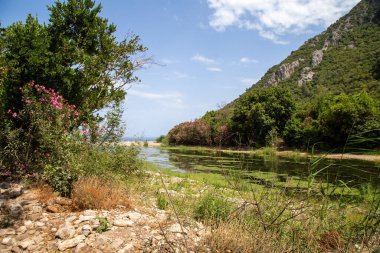 Türkiye 'nin Antalya ilinin Cirali köyündeki antik Olimpos kentinin kalıntıları
