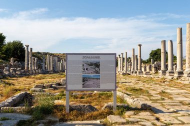 Antalya ilinin Perge Antik Kenti, Türkiye