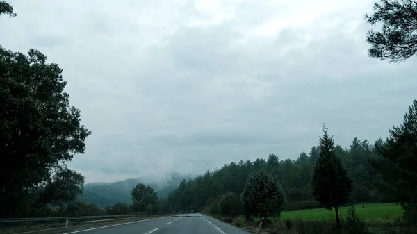 Strada Nel Bosco — Foto Stock