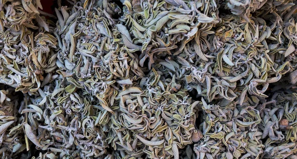 Dry Sage Tea Closeup — Stock Photo, Image