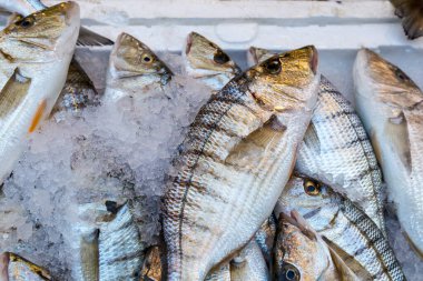 Piyasada taze balık