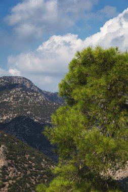 Bulutlardaki dağlar ve sis