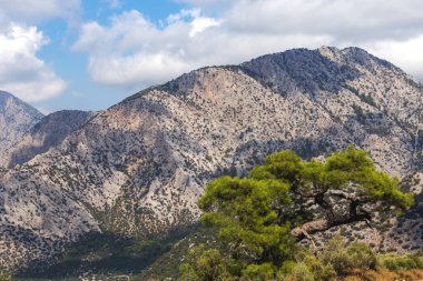 Bulutlardaki dağlar ve sis
