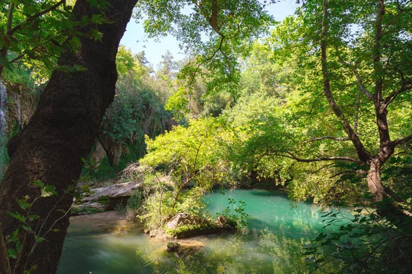 Şelale Deresi Orman Manzarası Kursunlu Şelale Parkı Antalya Türkiye — Stok fotoğraf