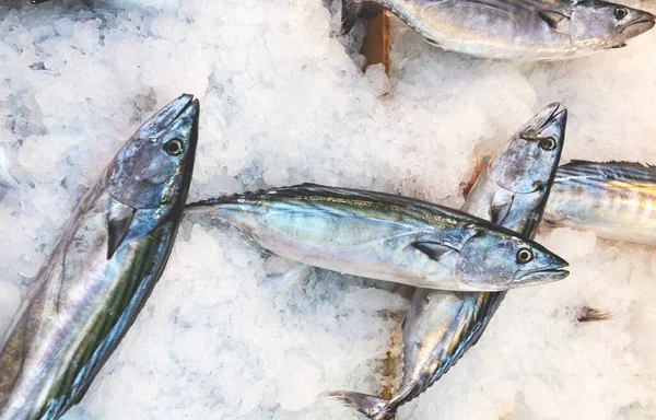 Fresh fishes at market. Background.