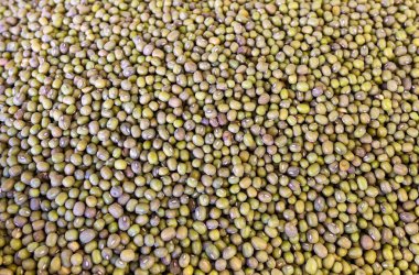 Yeşil fasulye mi yoksa fasulye arkaplanı mı?