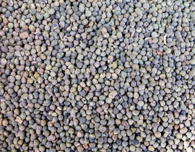 Beyaz arkaplandaki fasulye yığını