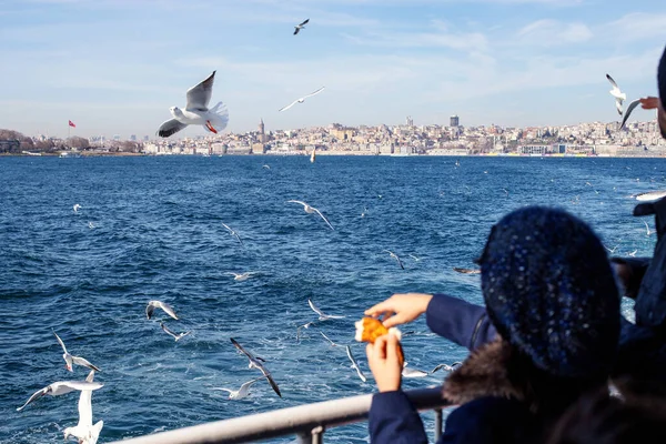 フェリーの乗客の中にはカモメに餌をやる人もいる イスタンブールからの旅客輸送船は定期的にプリンス諸島 Adalar へ航行する トルコのイスタンブール — ストック写真