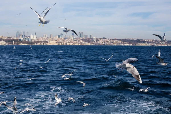İzmir 'deki yolcu feribotundan şehir manzarası