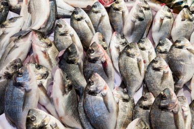 Pazarda taze balıklar, Kemeralti, İzmir, Türkiye