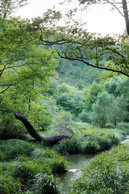 Dağdaki şelaleden akan nehrin manzarası.