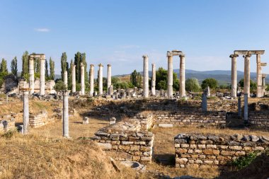 Aphrodisias Antik Kenti, Afrodisias Müzesi, Aydın, Ege Bölgesi, Türkiye - 9 Temmuz 2016