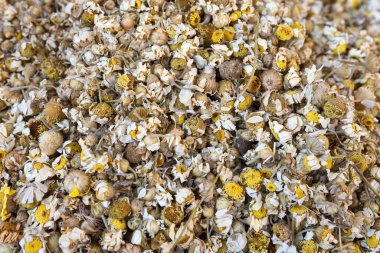 Kuru sarı papatya çayı deseni.