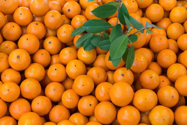 地元のバザーで新鮮なオレンジ — ストック写真