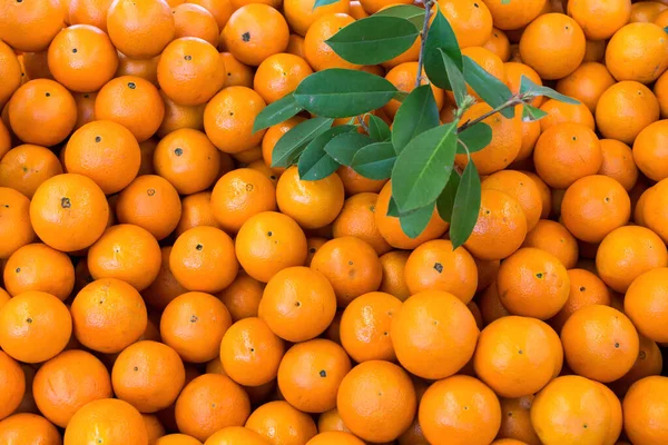Naranjas Frescas Bazar Local — Foto de Stock