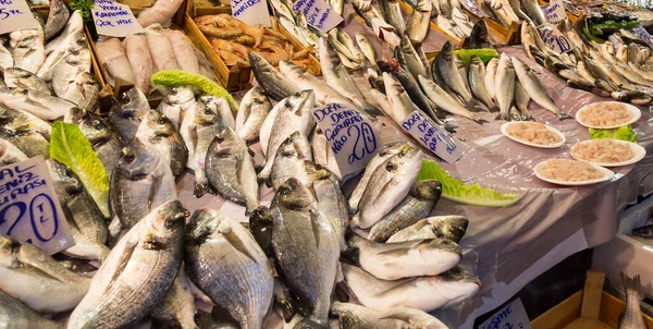 Verse Vis Markt Kemeralti Izmir Turkije — Stockfoto