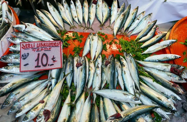 Peixes Frescos Mercado Kemeralti Izmir Turquia — Fotografia de Stock