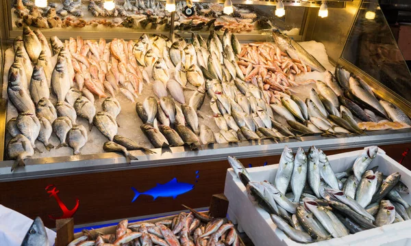 Peixes Frescos Mercado — Fotografia de Stock