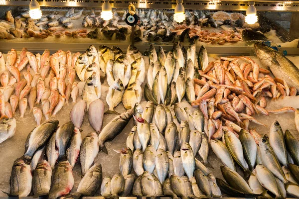 Peixes Frescos Mercado — Fotografia de Stock