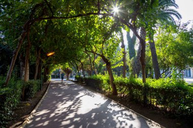 Konak, İzmir / Türkiye - 11 / 22 / 2019 - Kültür Parkı ve Sergi Merkezi. İzmir 'de Kulturpark olarak da bilinen Kltrpark (tercüme edilen kültür parkı) adlı kamu parkı. İzmir Kultur Parkı 'nda koşu pisti.