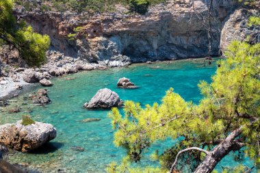 Antalya, Türkiye 'de güzel bir körfez. Antalya 'daki Phaselis Körfezi Türkiye Akdeniz.