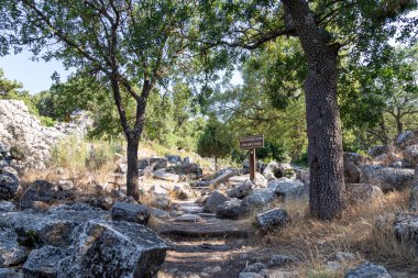 Antalya 'nın Taurus Dağları' ndaki Termessos veya Thermessos 'taki antik kalıntılar. Termessos.