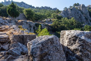 Antalya 'nın Taurus Dağları' ndaki Termessos veya Thermessos 'taki antik kalıntılar. Termessos.