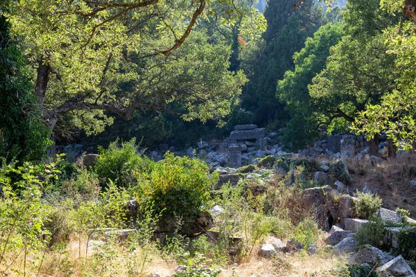 Ancient Ruins Termessos Thermessos Taurus Mountains Antalya Province Turkey Termessos — Stock Photo, Image