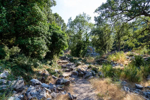 Ancient Ruins Termessos Thermessos Taurus Mountains Antalya Province Turkey Termessos — Stock Photo, Image