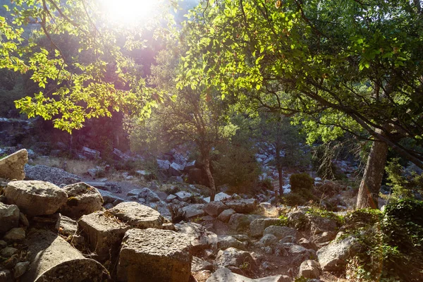 View Ancient Ruins Termessos Thermessos Taurus Mountains Antalya Province Turkey — Stock Photo, Image