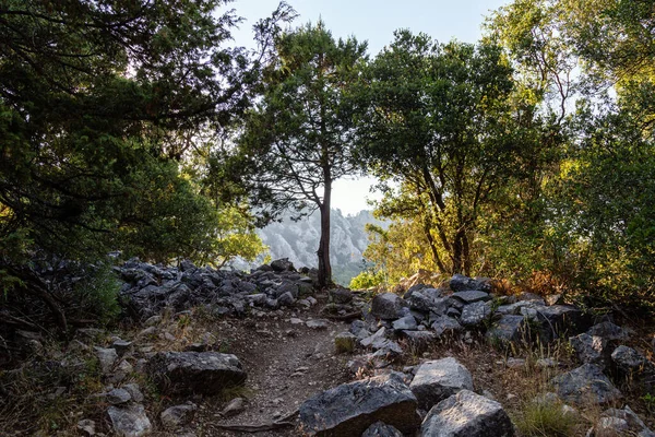 View Ancient Ruins Termessos Thermessos Taurus Mountains Antalya Province Turkey — Stock Photo, Image