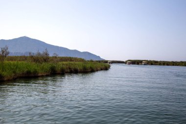 Dalyan nehri Türkiye 'de daha popüler bir turizm beldesi. Nehir Caretta Caretta 'ya ve bir sürü kuş ve balığa ev sahipliği yapar.. 