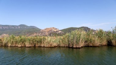 Dalyan nehri Türkiye 'de daha popüler bir turizm beldesi. Nehir Caretta Caretta 'ya ve bir sürü kuş ve balığa ev sahipliği yapar.. 