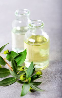 Aromaterapi tedavisi için gerekli yağlar..