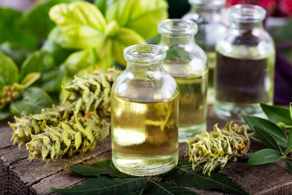 Üvegpalack Illóolaj Zsálya Növény Szárított Fűszernövények Illóolajokkal Aromaterápiás Kezeléshez — Stock Fotó