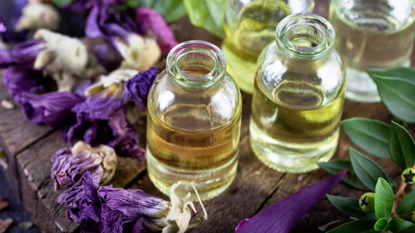 Una Bottiglia Olio Essenziale Malva Comune Con Fiori Secchi Erbe — Foto Stock