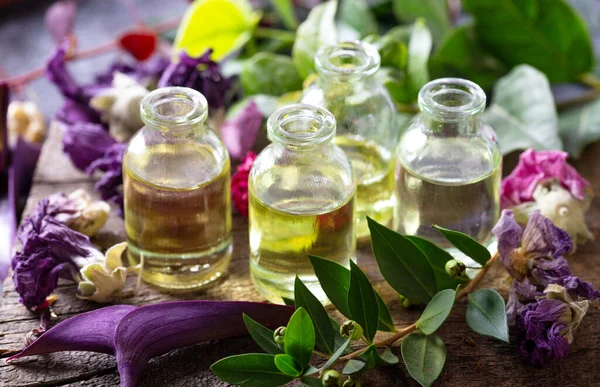 Egy Üveg Közönséges Mályvacukor Illóolaj Szárított Virágokkal Szárított Fűszernövények Illóolajokkal — Stock Fotó