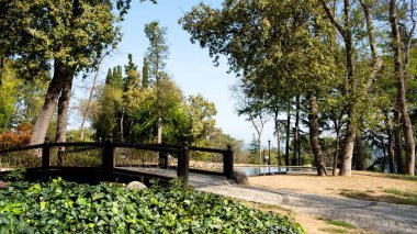 Emirgan Parkı İstanbul 'un en büyük parkı. Emirgan Parkı 'ndaki sonbahar manzarası. 