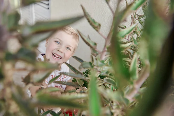 A criança cuida da planta — Fotografia de Stock