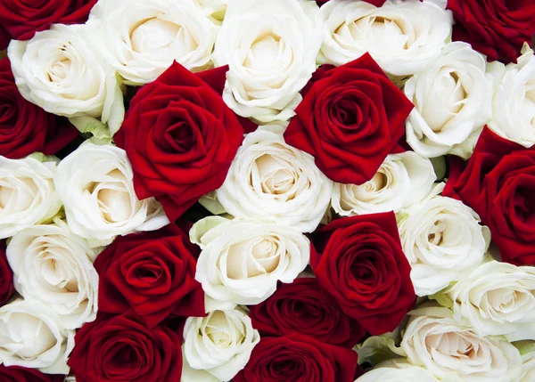 Schöne Rosen Natur Hintergrund lizenzfreie Stockbilder