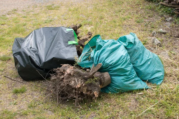 garden cleaning, bio waste in a plastic bag