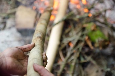 Yakın el ve ateş odunları kömürleşmiş odunların üzerinde, doğada bir barbekü için kamp ateşi.