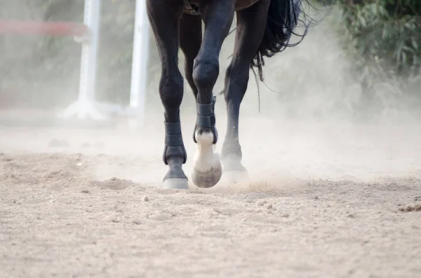 Flying sand under the hooves of the horses. close up