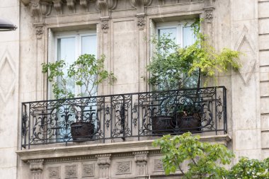 Paris 'teki bir binanın camları ve balkonu sarmaşık ve diğer yeşil bitkilerle kaplı. Haziran 2020