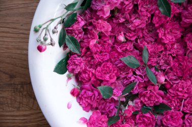 seramik beyaz kase pembe güller yakın plan, yukarıdan görünüm