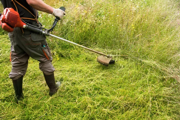 Landscapers Mannen Tuiniers Maaien Gras Met String Gazon Trimmers — Stockfoto